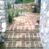 Steps