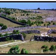 Stone wall